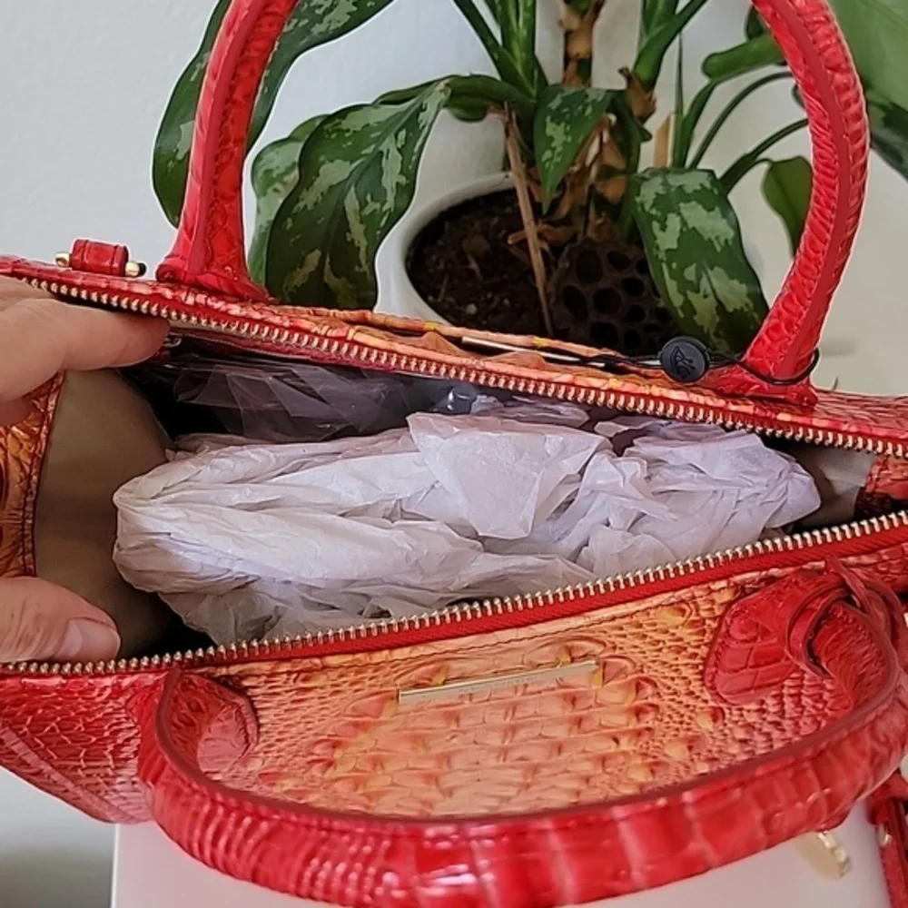 NWT🌺 Brahmin Small Caroline Infusion Ombre Melbourne Leather bag